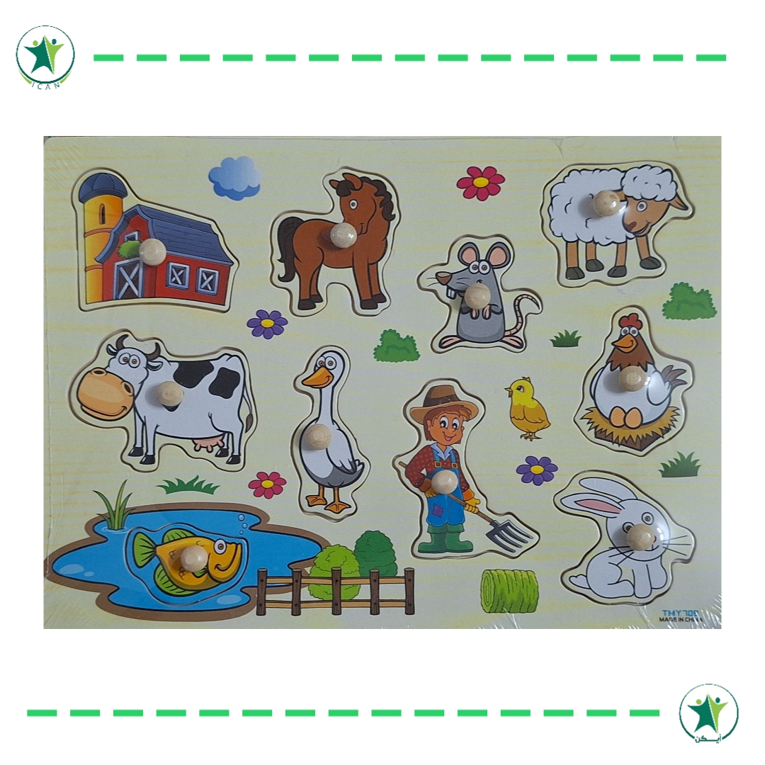 پازل جایگذاری چوبی پین دار